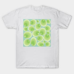 green clams on tinted background T-Shirt